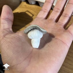 Gorgeous Thai mushroom