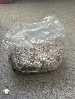 Grow Bag problems 68e3d9d2cd406