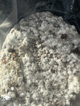 Grow Bag problems 68e3d9debd272