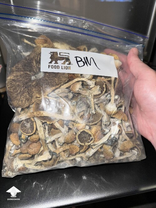 Dried Blue Meanies - Ok I’m done