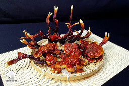 Day-to-day Reishi growing diary 68e5180cc1485