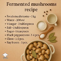 Fermented mushrooms ingredients
