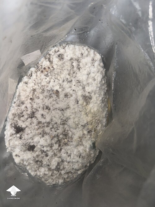 Grow Bag problems 68e7dc9c34a9a