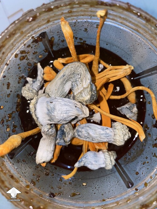 Dry APE mushrooms with Cordyceps in honey