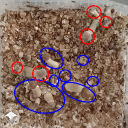 Is it a problem? 68f768cdd760f