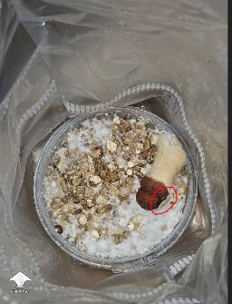 Should I pick this one up? 68f739d4c07cd