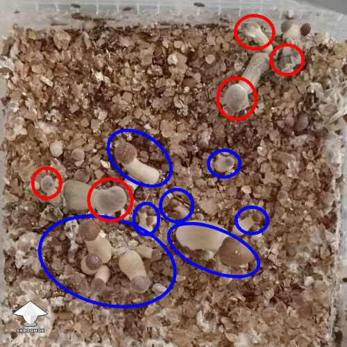Thumbnail: Is it a problem? 68f768cdd760f