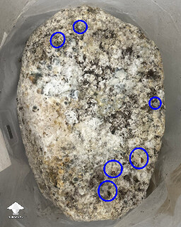 Grow Bag problems 68f8b653dd216