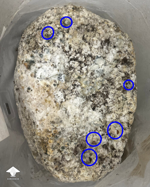 Grow Bag problems 68f8b653dd216