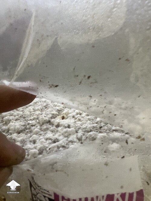 Thumbnail: Grow Bag problems 68f90997b16e1