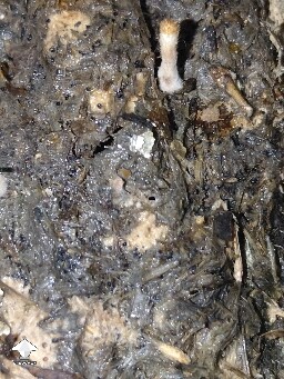 Slight browning and unknown fuzz on pins 68fdcc9825ac1