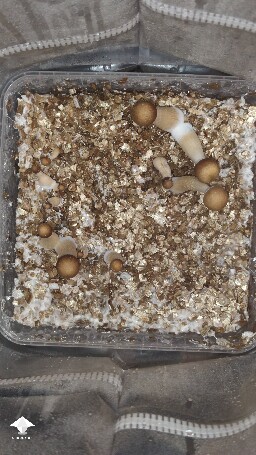 Is it a problem? 68ff874fca363