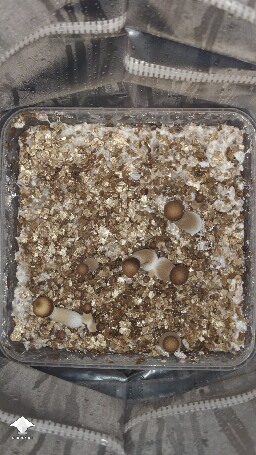 Is it a problem? 68ff87538523f