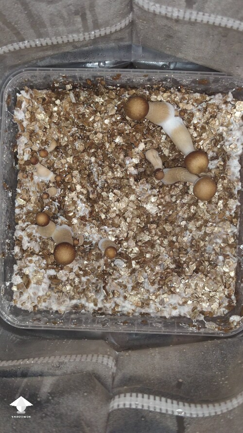 Is it a problem? 68ff874fca363