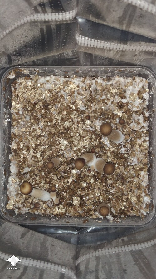 Is it a problem? 68ff87538523f