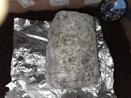 Thumbnail: Can I flatten at this stage 6902a02753ab6