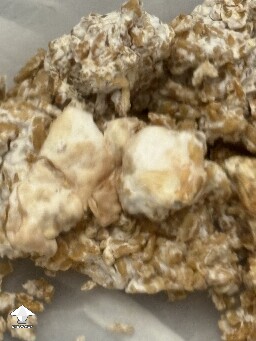 Ready rice brown spot 69041d7aefd26