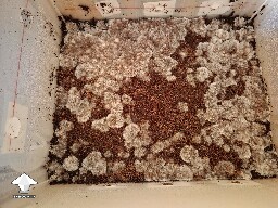 Can I flatten at this stage 690c32bd91852