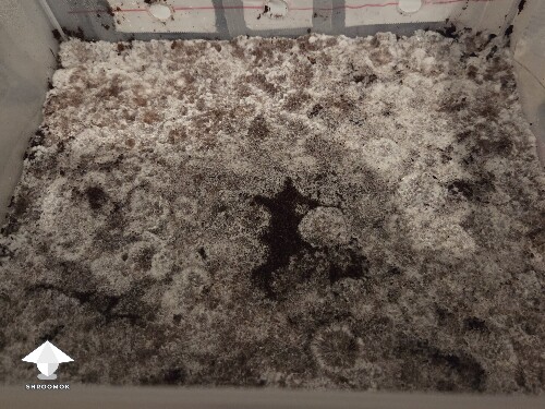 Thumbnail: Can I flatten at this stage 690c32bfe85a6