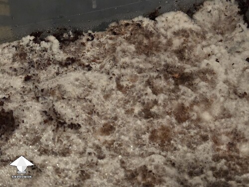 Thumbnail: Can I flatten at this stage 690c32c42df8