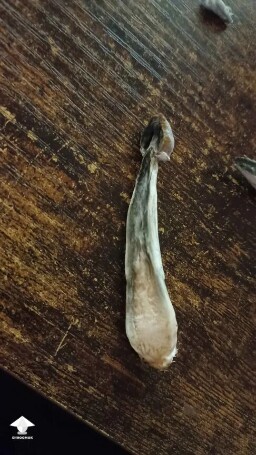 Is it just Oxidation? 690f40a80985f