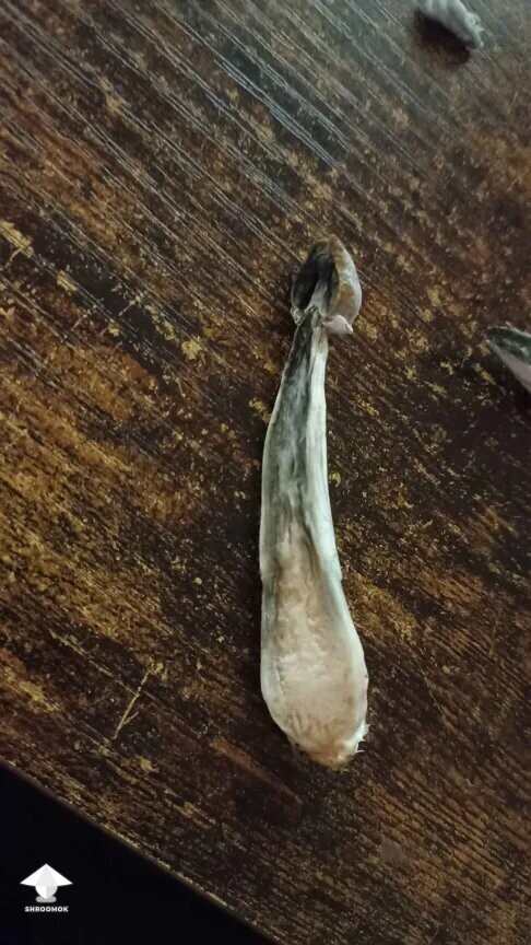 Thumbnail: Is it just Oxidation? 690f40a80985f