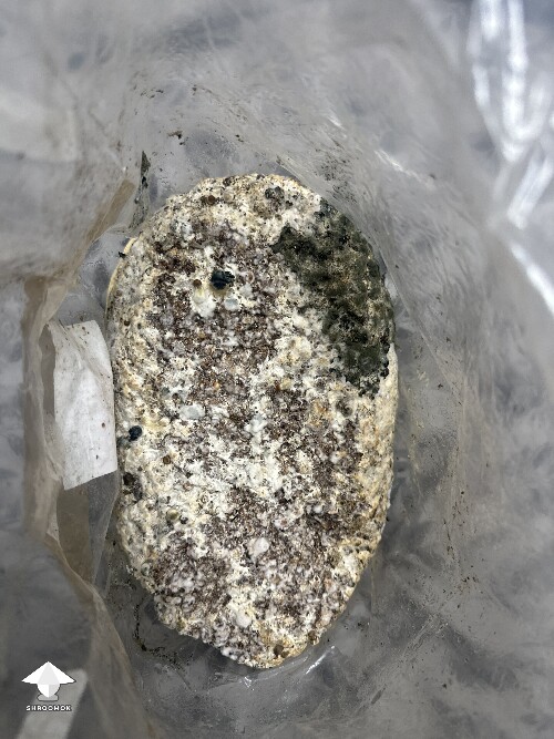 Thumbnail: Grow Bag problems 691242723bf70