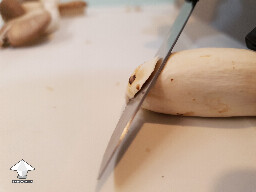 Cut the base of the mushroom stem