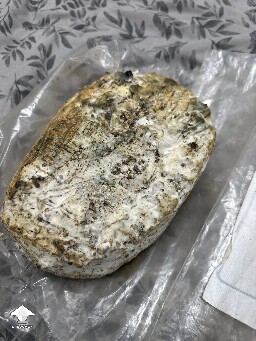 Grow Bag problems 6914ab30e1add