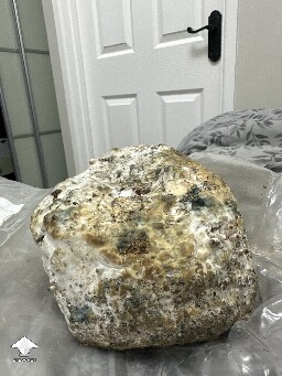 Grow Bag problems 6914ab649f9b2