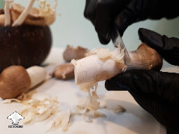 Peeling mushroom stem for cooking