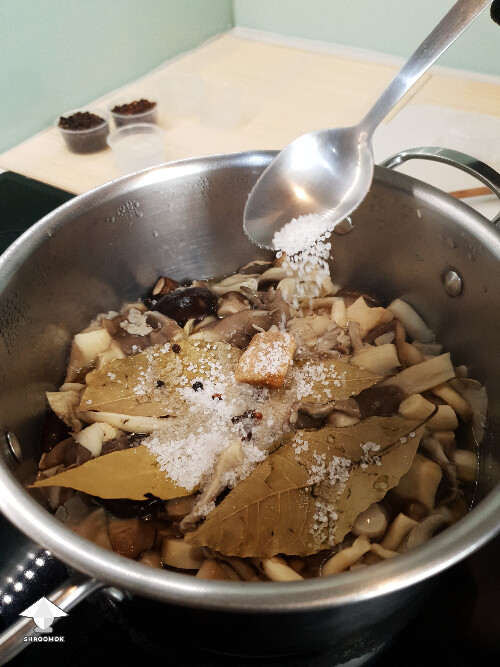 Add salt and sugar - mushroom cooking - fermentation recipe