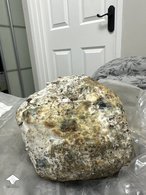 Thumbnail: Grow Bag problems 6914ab649f9b2