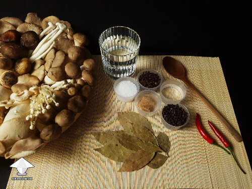 Ingredients for mushroom fermentation recipe