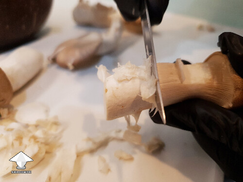 Peeling mushroom stem as cleaning method before cooking