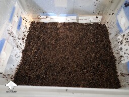 Can I flatten at this stage 6916685032b20