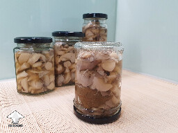 Test jars and lids - fermented mushrooms for long term storage