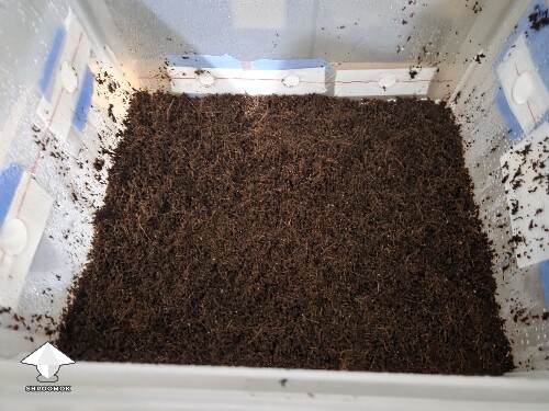 Can I flatten at this stage 6916685032b20