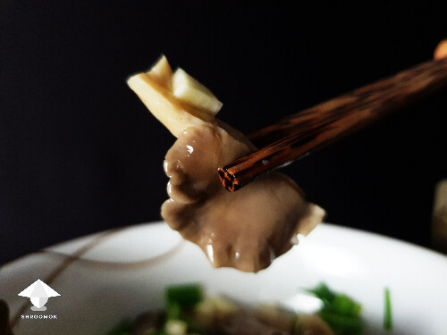 Fermented mushrooms and their health benefits