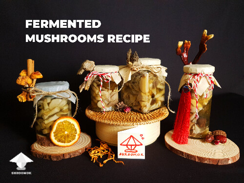 Fermented mushrooms recipe by Shroomok