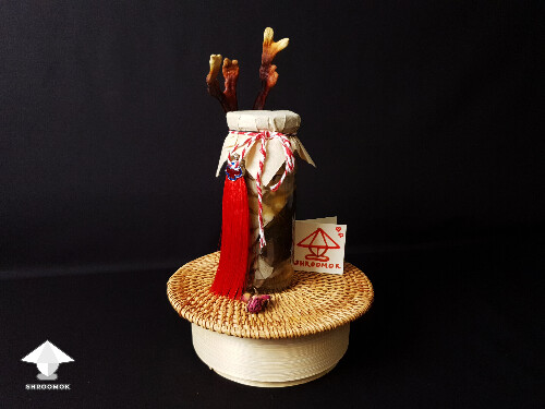 Jar of fermented mushrooms as a gift