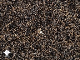 Can I flatten at this stage 6918b5e099981