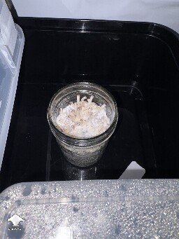 Jar Status 691958c30c5c3