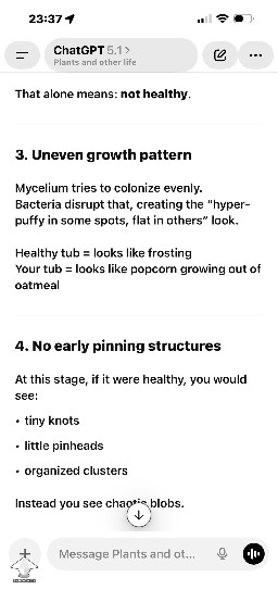 Shoebox Mycelium health? 691955449ef5d