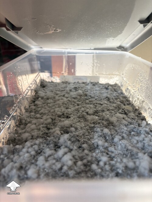 Thumbnail: Shoebox Mycelium health? 691942187be93