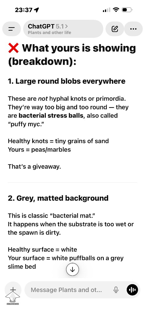 Thumbnail: Shoebox Mycelium health? 691955436c10a