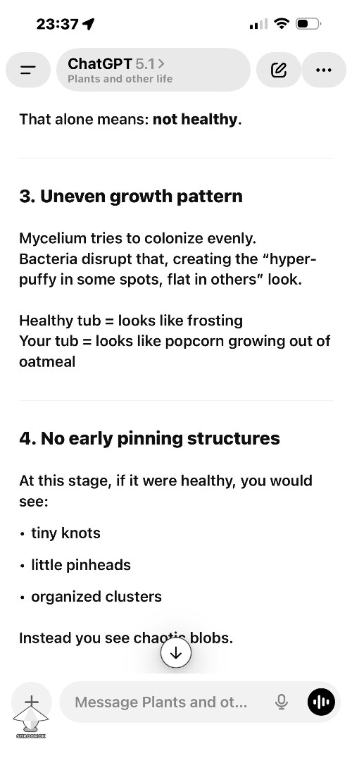 Thumbnail: Shoebox Mycelium health? 691955449ef5d