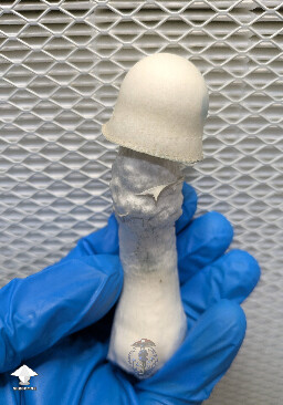 Cross between Gandalf and Long Ghost #2