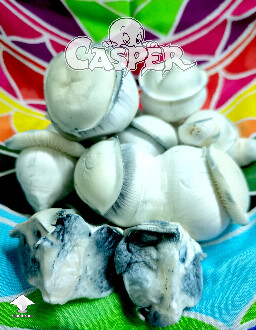 Cubensis Casper mushrooms #3
