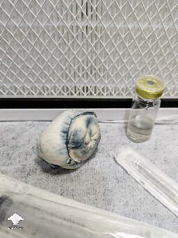 Just about to steal Casper's soul - cloning